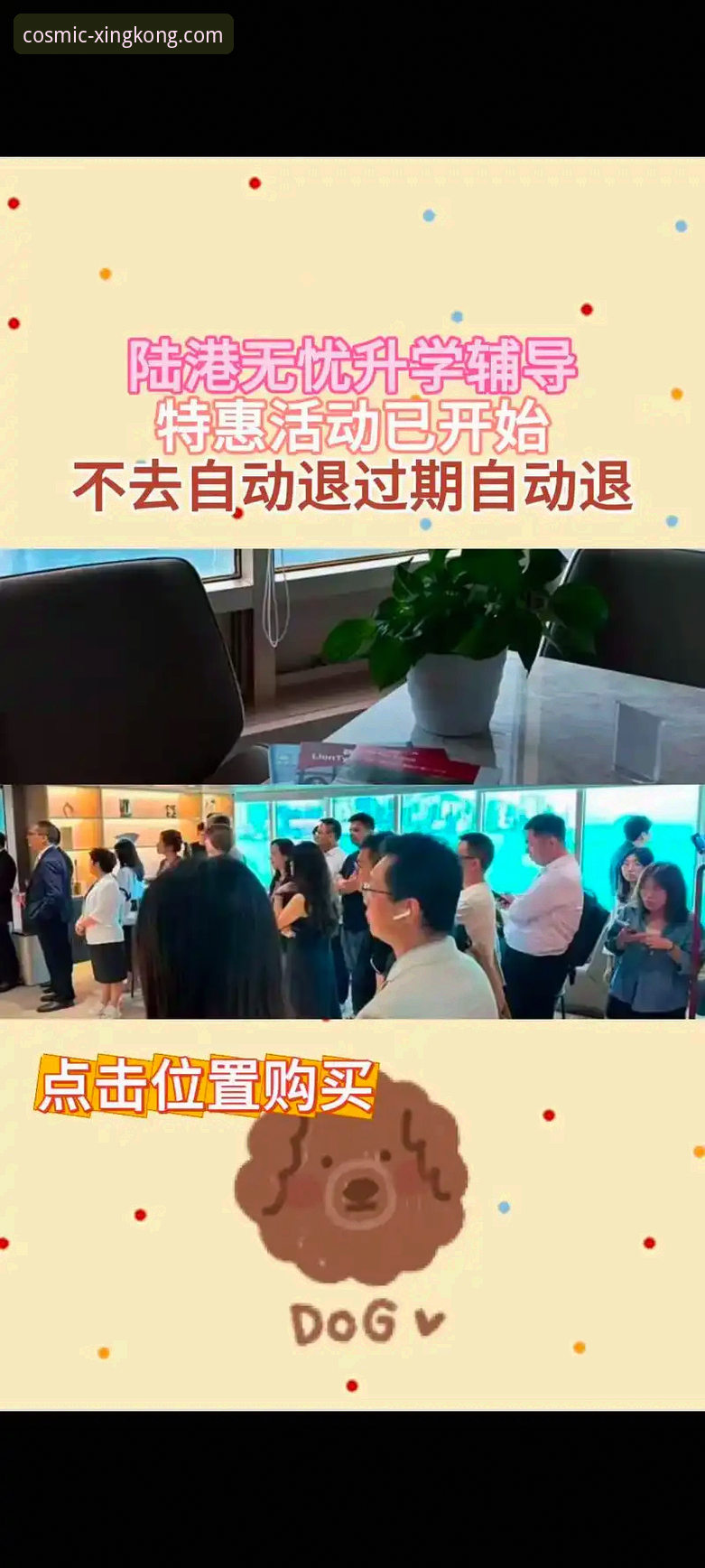 资深用户亲授：如何高效利用星空入口客服解决平台使用难题